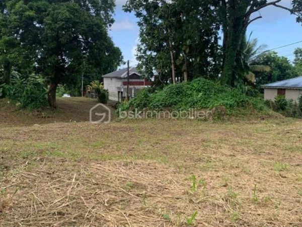 TERRAIN CONSTRUCTIBLE