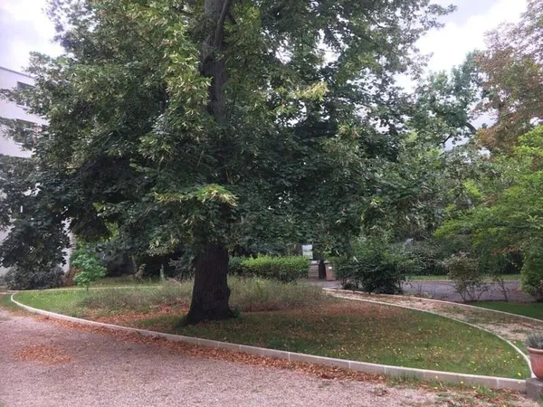 Appartement 3 pièces 54 m²