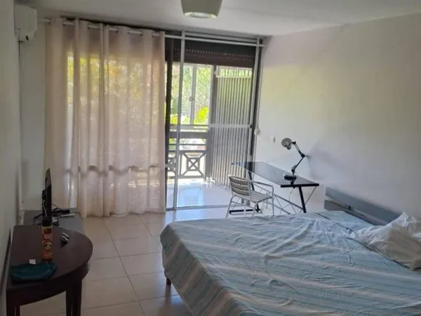 Appartement 1 pièce 30 m²