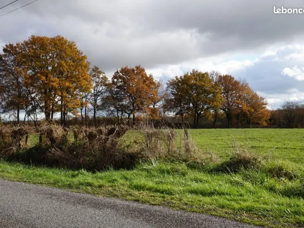 Terrain 15 000 m2 à CHARRIN