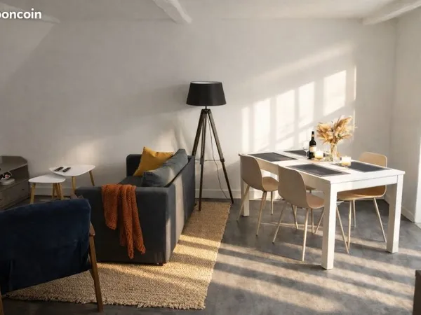 Appartement lumineux centre ville
