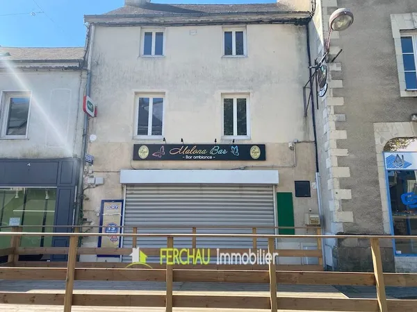 Immeuble à vendre Nort Sur Erdre