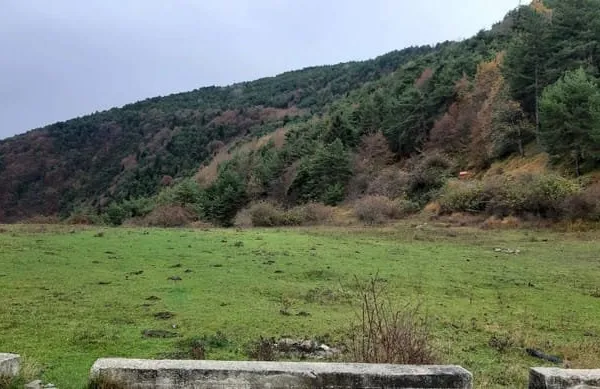 13 hectares de terrains