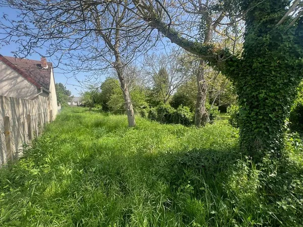 Terrain Dormelles 599 m2