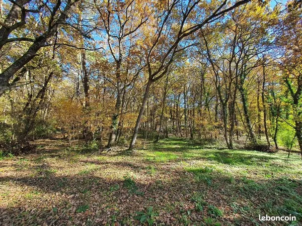Terrain 14982 m² MONCLAR DE QUERCY