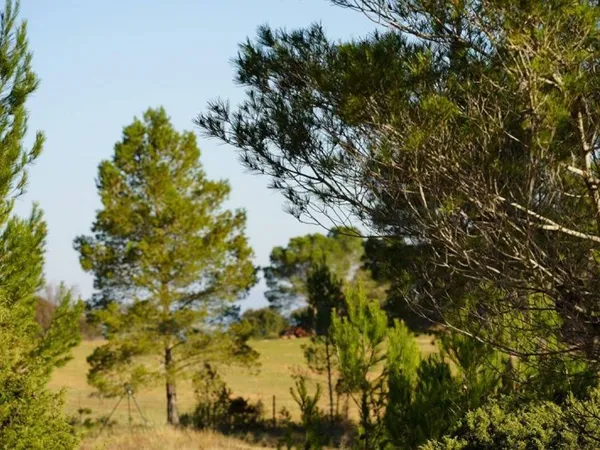 Terrain constructible 1700 m²