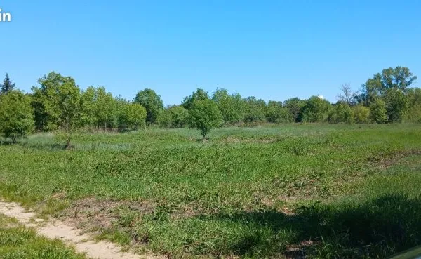 Vend Terrain agricole