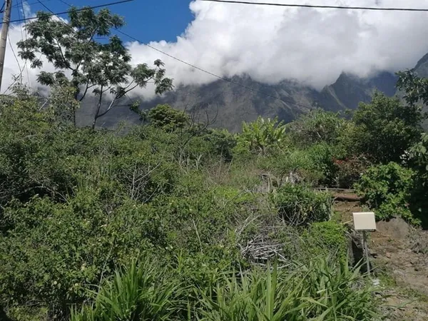 Terrain Cilaos 1200 m2