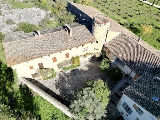 Vignoble 97000 m²