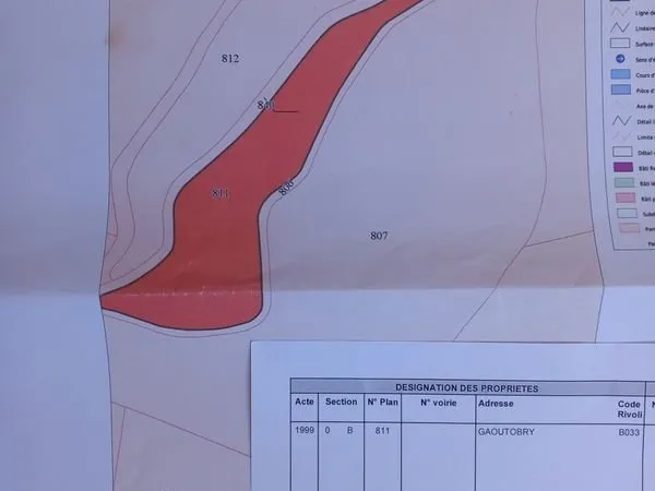 Terrain boisé