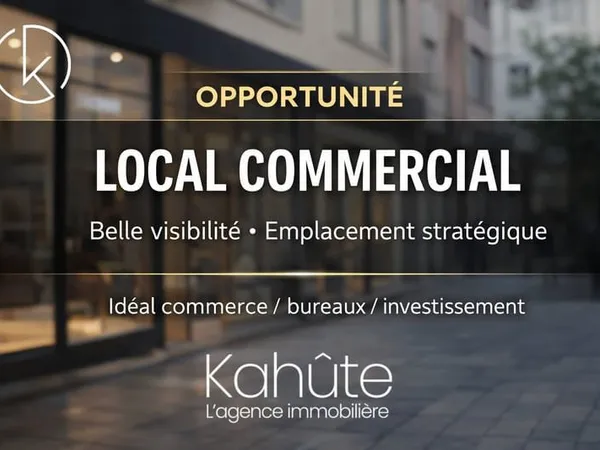 TRES RAREMURS COMMERCIAUX avec bonne et fiable rentabilité
