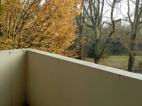 Appartement 1 pièce 31 m²
