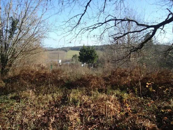 Terrain en individuel 2000 m²
