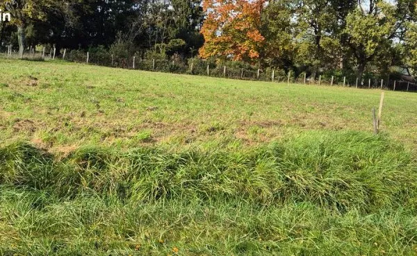 Vends terrain a bâtir viabilise chaource