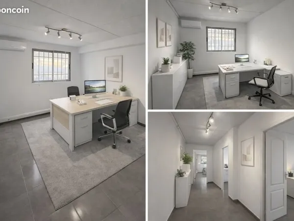 Bureaux / locaux professionnels