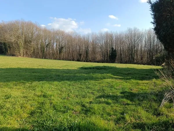 Terrain à bâtir
