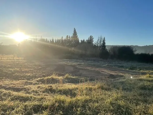 Terrain 734 m²