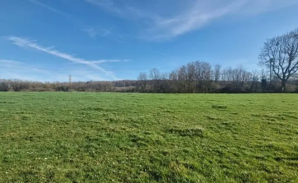 Terrain plat constructible 6697,77m2
