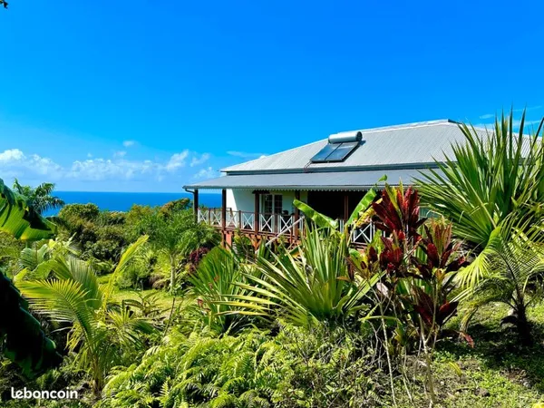 Tropicalement vôtre : Belle villa plongée dans un jardin tropical à Saint-Philippe dans le Sud Sauva