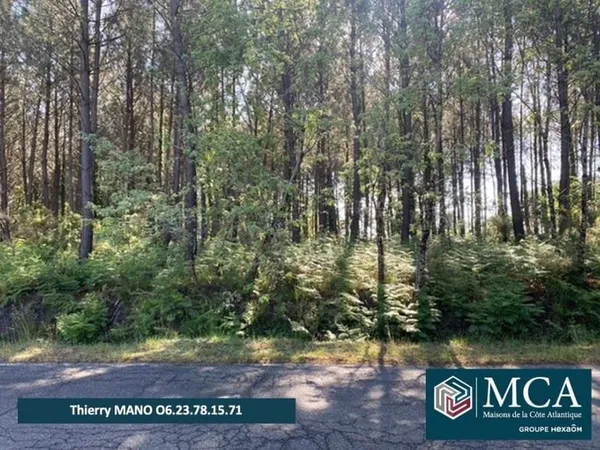 Terrain 485 m²