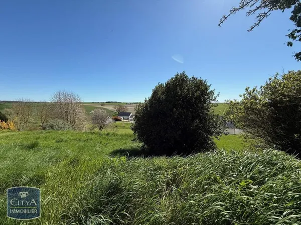 Terrain à bâtir Vente La Roche-Clermault  1981m² 25000€