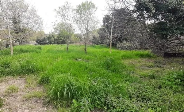 Terrain 500 m²