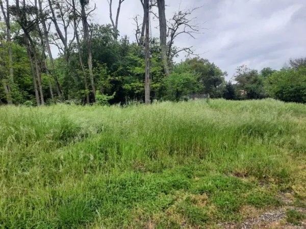 Terrain 350 m²