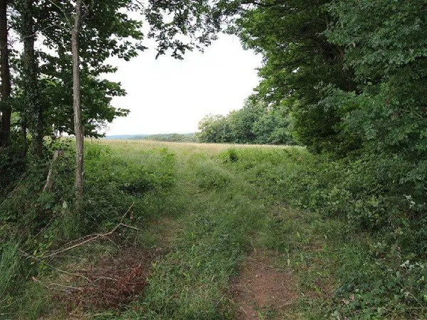 Terrain en individuel 3000 m²