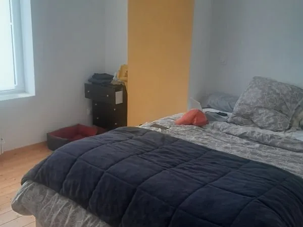 Colocation suite parentale