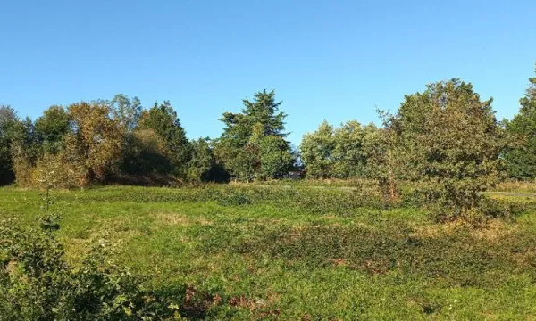 Terrain 1300 m²