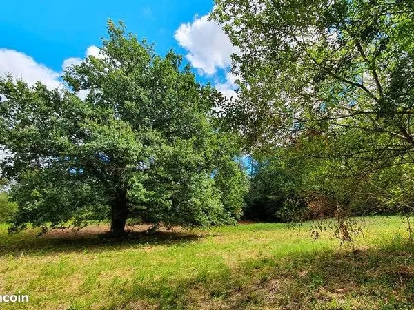 Terrain 1 650 m² Saint Privat En Perigord
