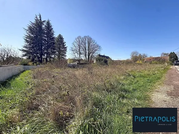 Terrain Rare