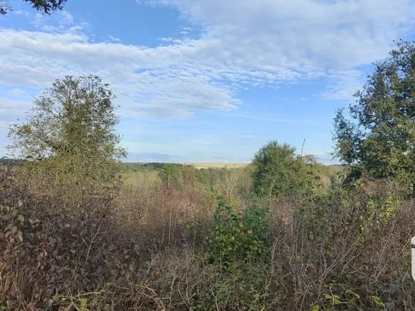 Terrain 4085 m²