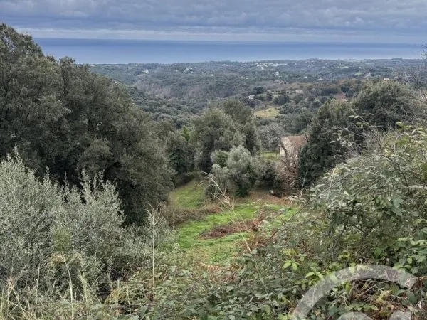 Terrain 7200 m²