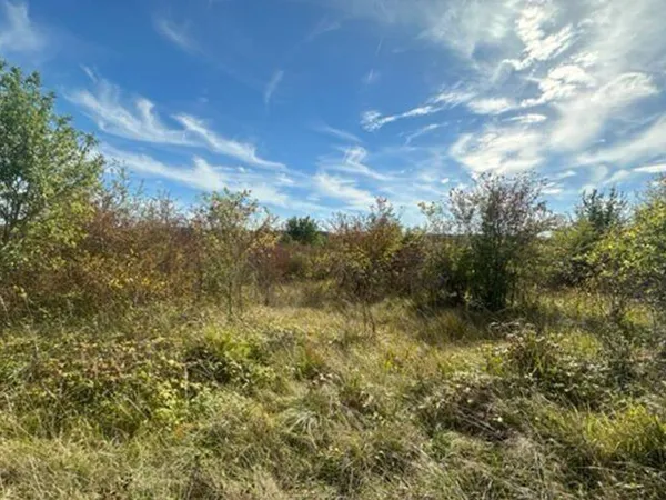 Terrain 54415 m²