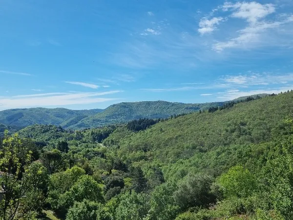 Terrain à bâtir Vente Le Vigan  1420m² 86000€