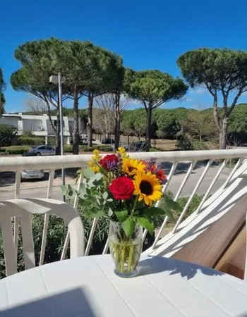 Studio cabine climatisé avec terrasse + parking - La Petite Motte - 139 900