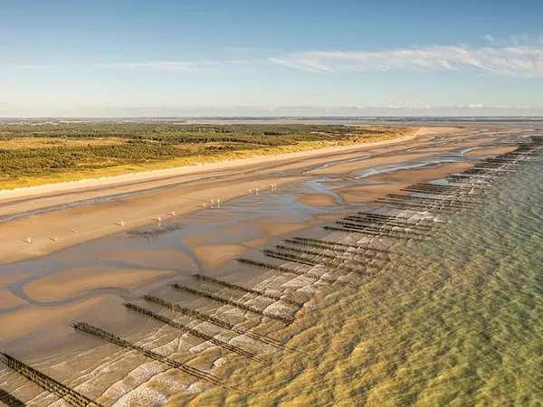 Quend-Plage-les-pins , parcelle de terrain à bâtir de 1150 m2 .