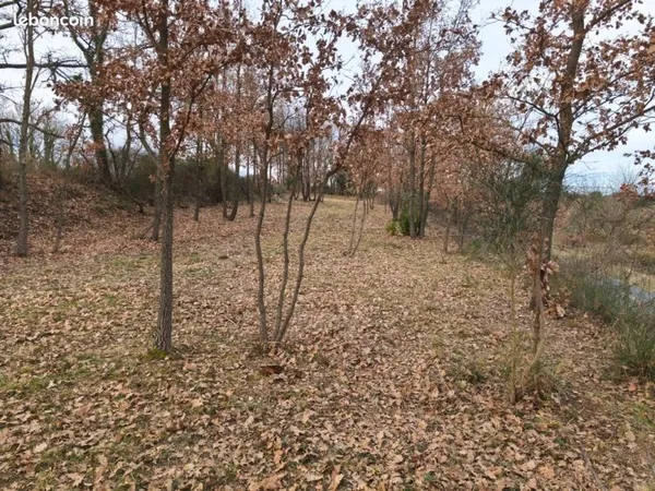 Terrain agricole