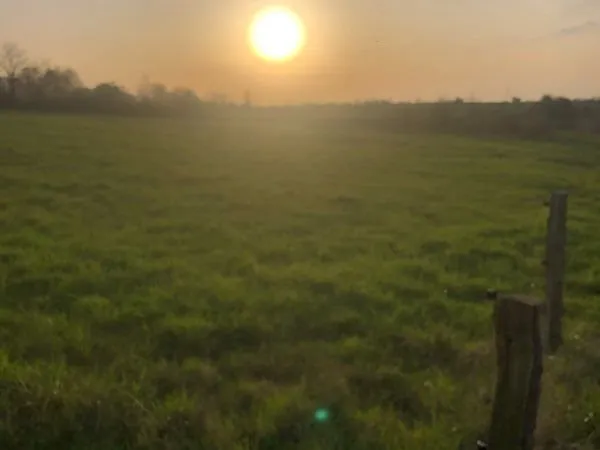 Terrain Location Auvers-le-Hamon  5000m² 50€