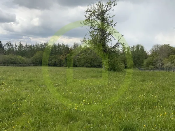 Terrain 5698 m²