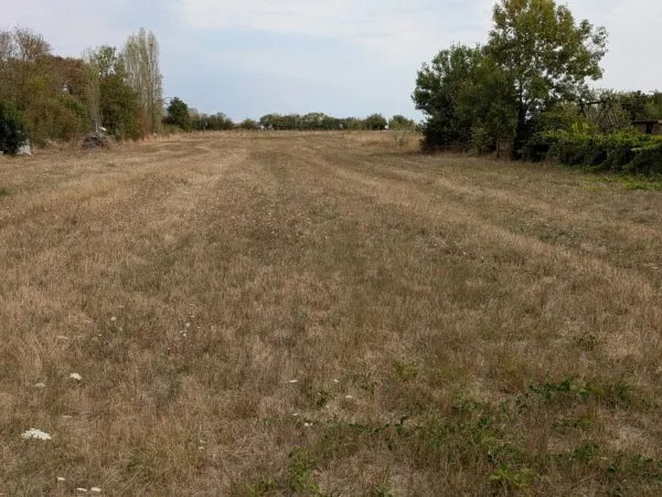 terrain constructible