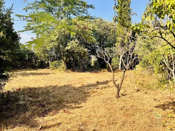 Terrain 767 m²