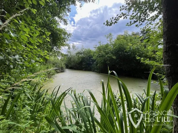 Etang à Sélestat