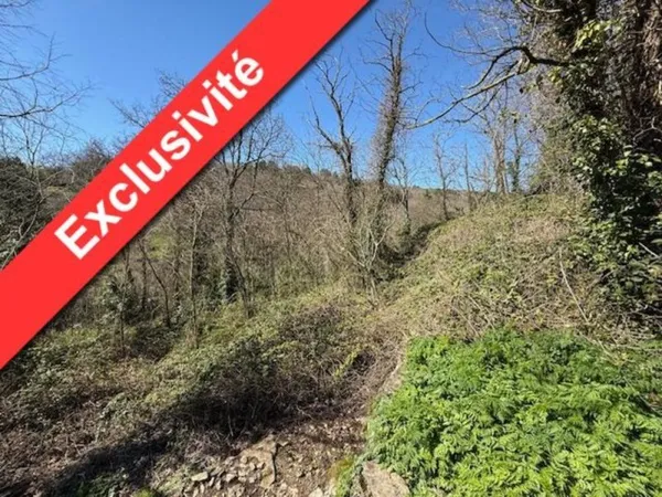 Terrain 3199 m²