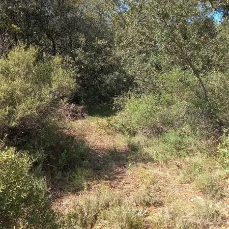 Vends terrain non constructible l