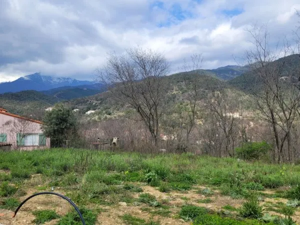 Terrain constructible