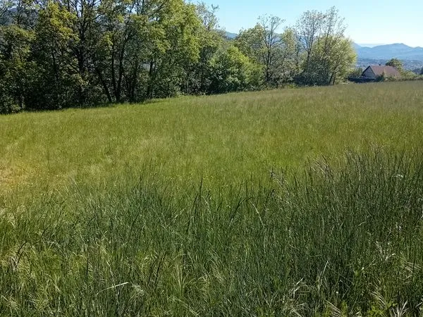 Terrain Gap nord