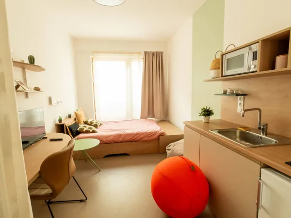 Studio 1 pièce 19 m²