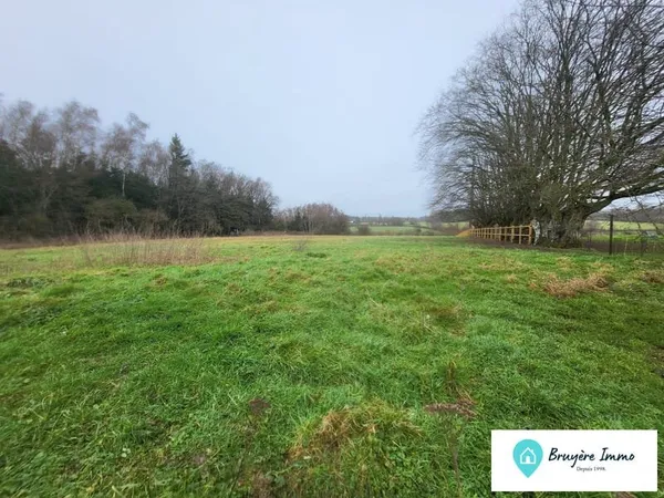Terrain 11437 m²